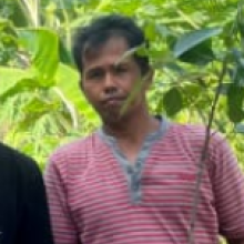 A Waluyo